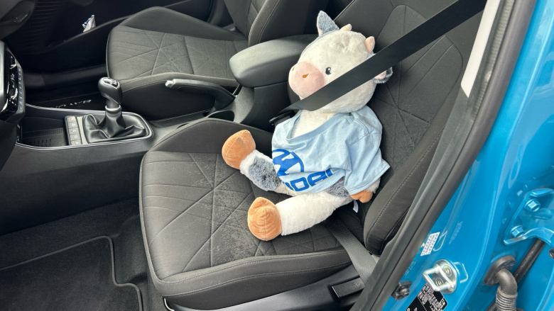 Hyundai BAYON 1.0 TGDi [120] 48V MHEV Premium 5dr Petrol Hatchback